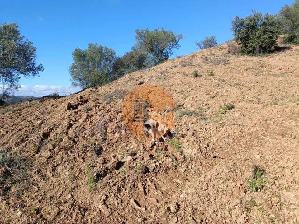 Terreno para Venda em Odeleite Foto 65