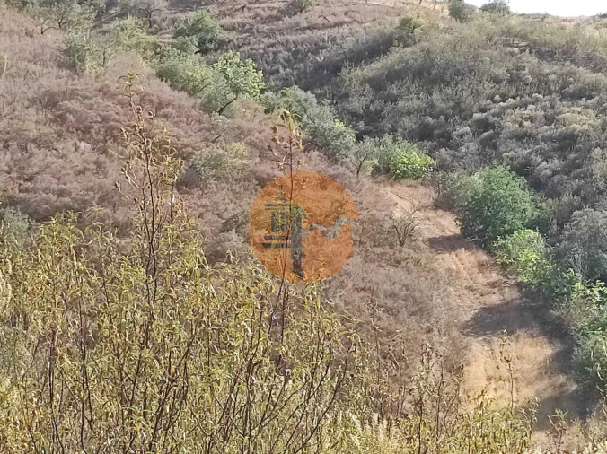 Terreno para Venda em Odeleite Foto 7