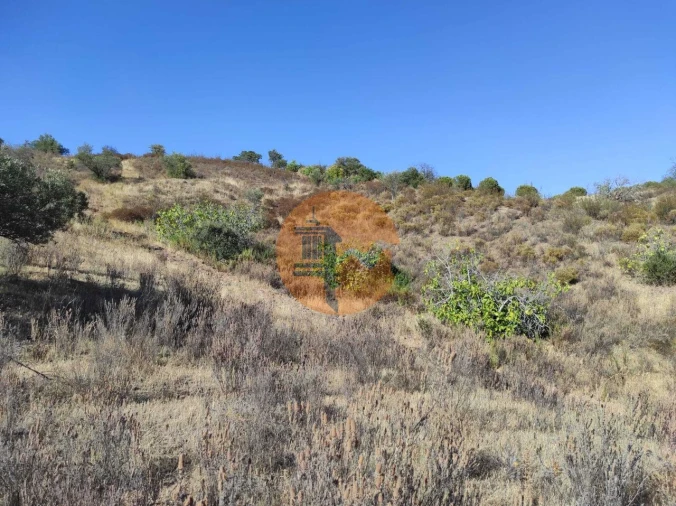 Terreno para Venda em Odeleite Foto 12