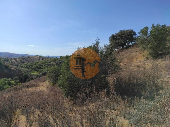 Terreno para Venda em Odeleite Foto 19