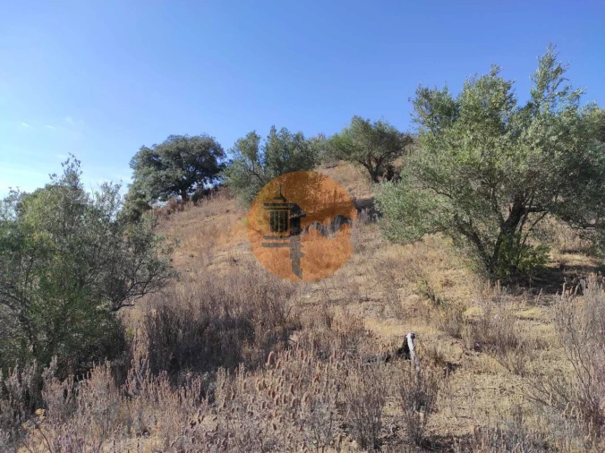 Terreno para Venda em Odeleite Foto 20