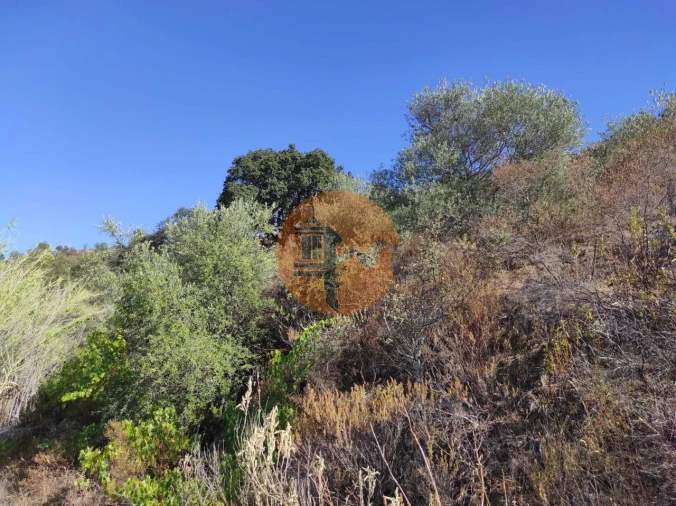 Terreno para Venda em Odeleite Foto 22