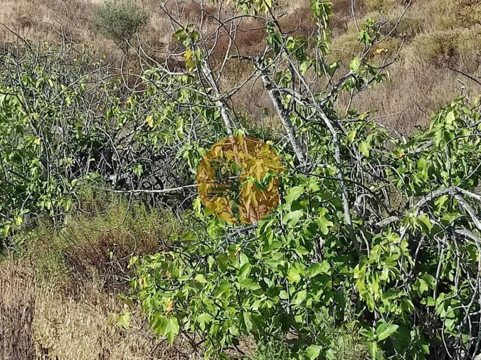 Terreno para Venda em Odeleite Foto 36