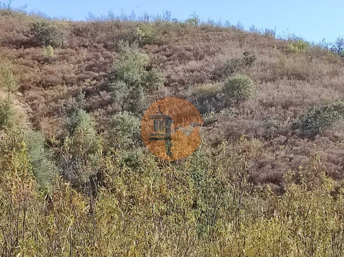 Terreno para Venda em Odeleite Foto 38