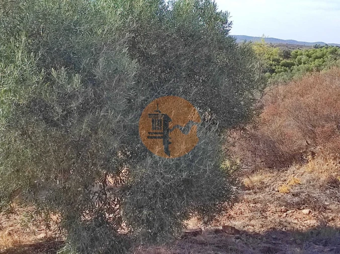 Terreno para Venda em Odeleite Foto 40