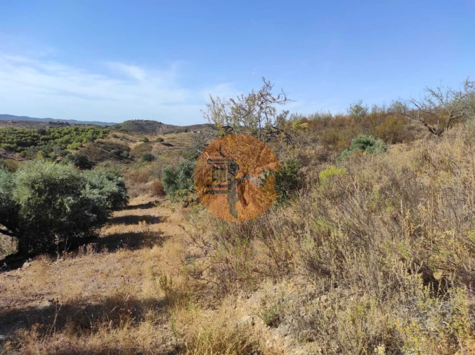 Terreno para Venda em Odeleite Foto 43