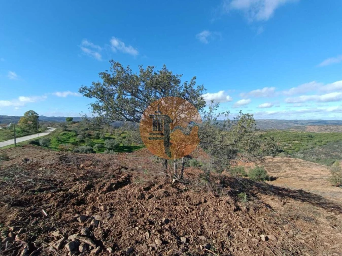 Terreno para Venda em Odeleite Foto 47
