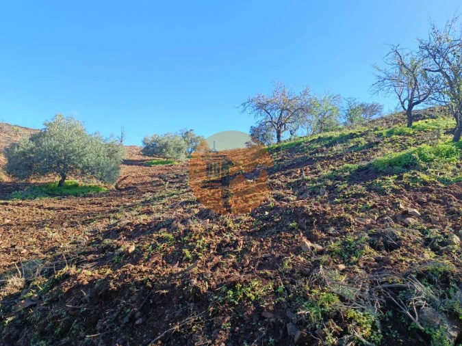 Terreno para Venda em Odeleite Foto 49