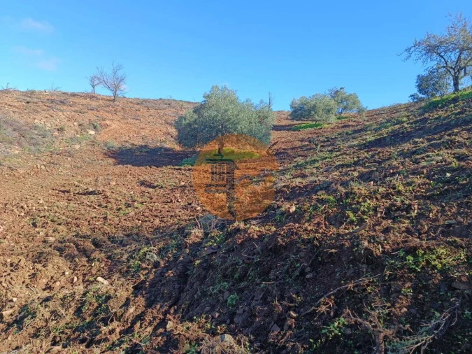 Terreno para Venda em Odeleite Foto 50