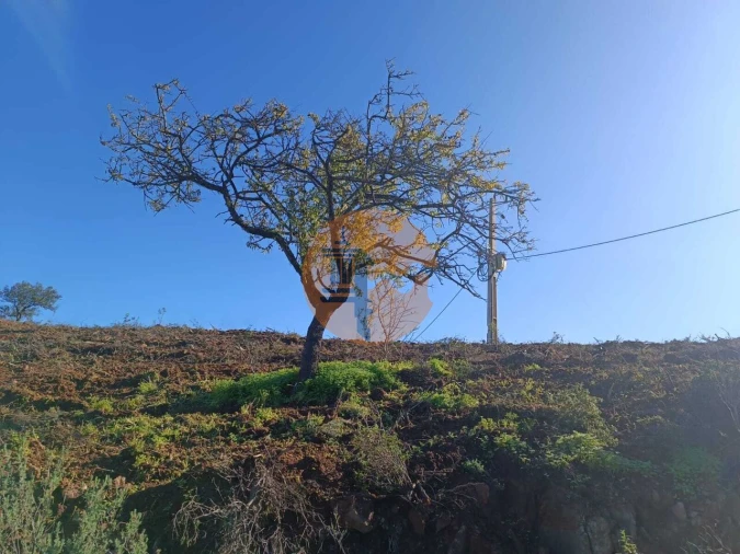 Terreno para Venda em Odeleite Foto 51