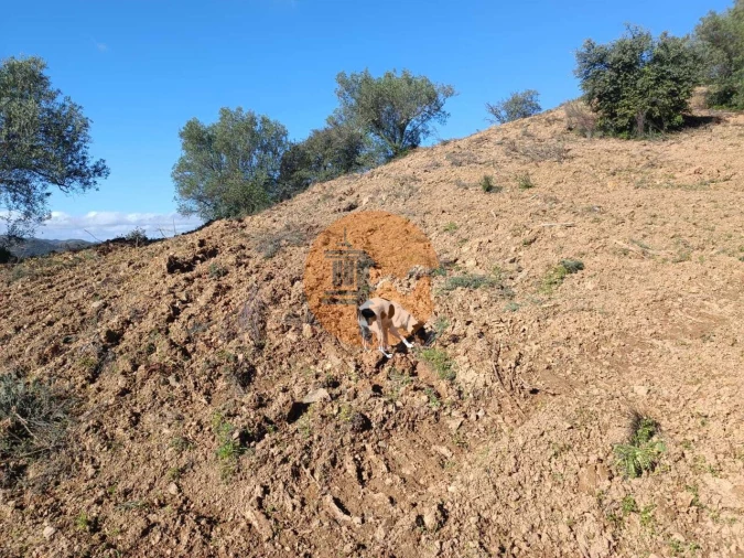 Terreno para Venda em Odeleite Foto 65