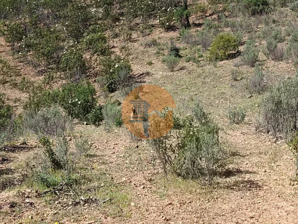Terreno para Venda em Odeleite Foto 8