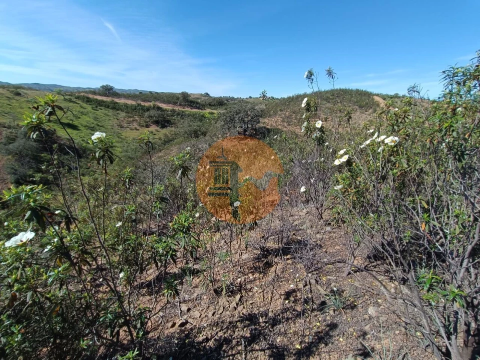 Terreno para Venda em Odeleite Foto 11