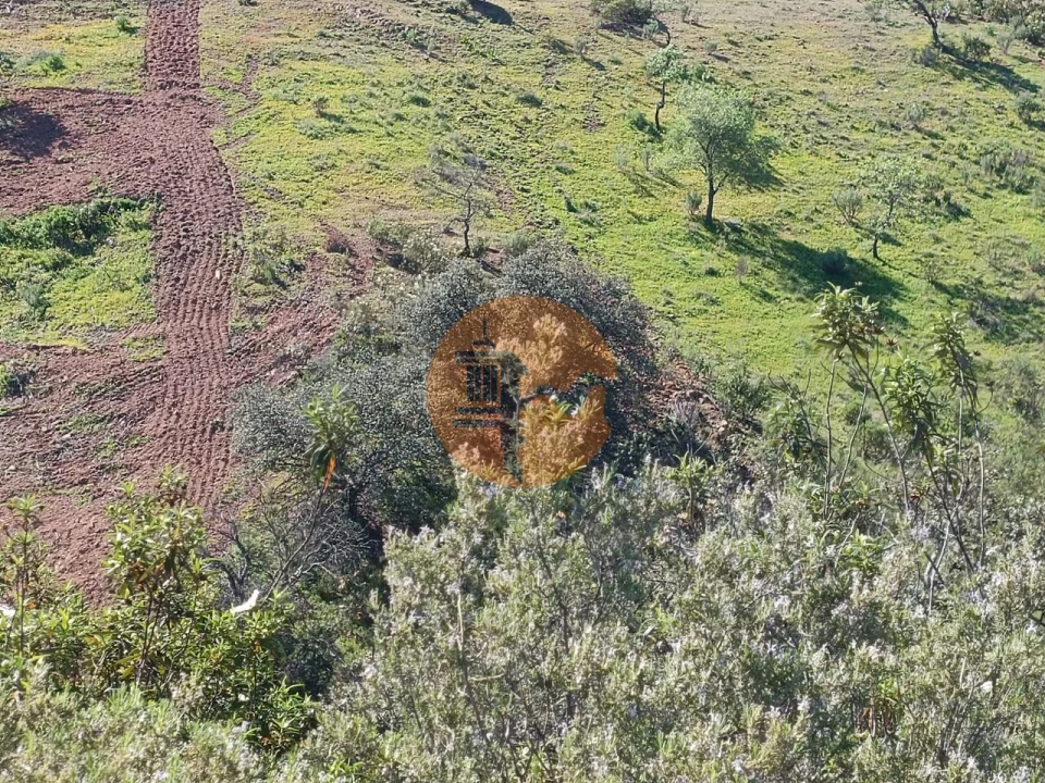 Terreno para Venda em Odeleite Foto 14
