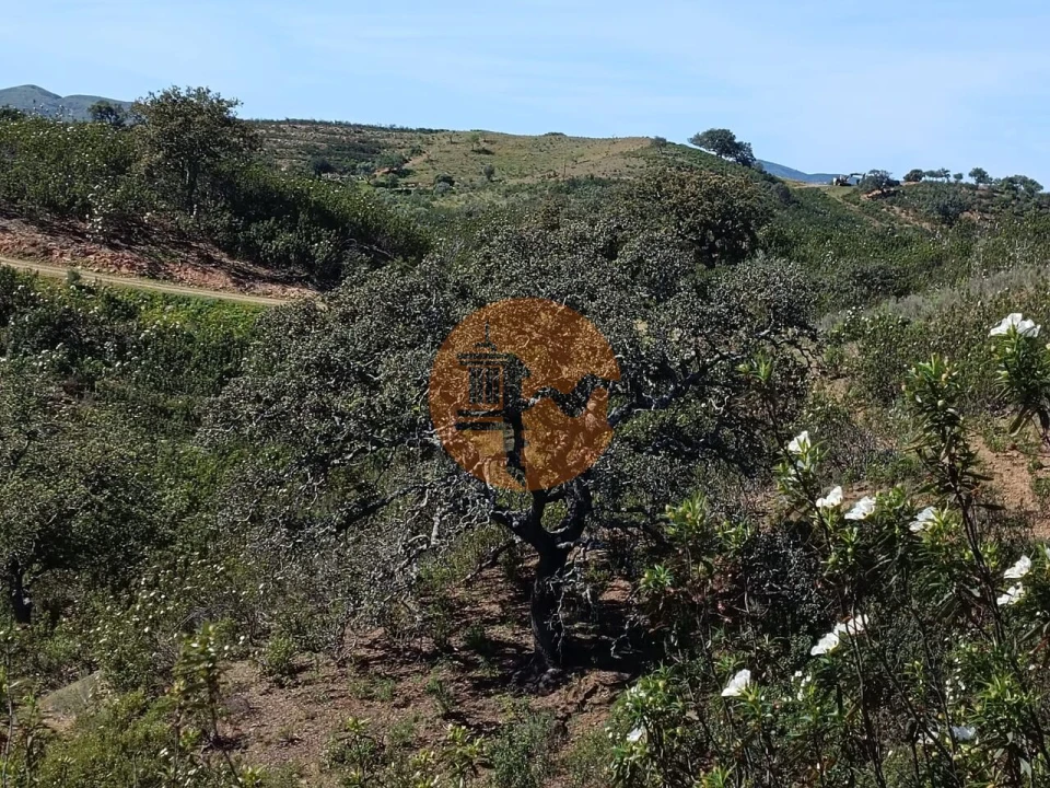 Terreno para Venda em Odeleite Foto 17