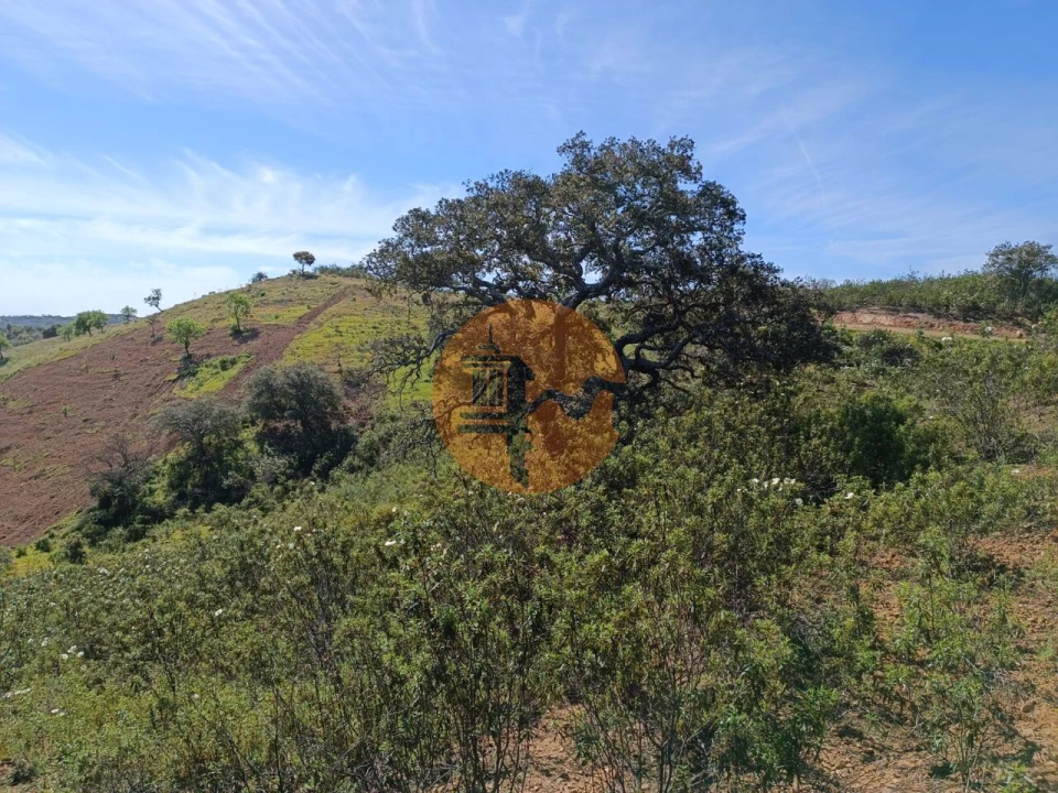 Terreno para Venda em Odeleite Foto 18