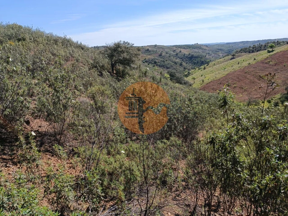 Terreno para Venda em Odeleite Foto 20
