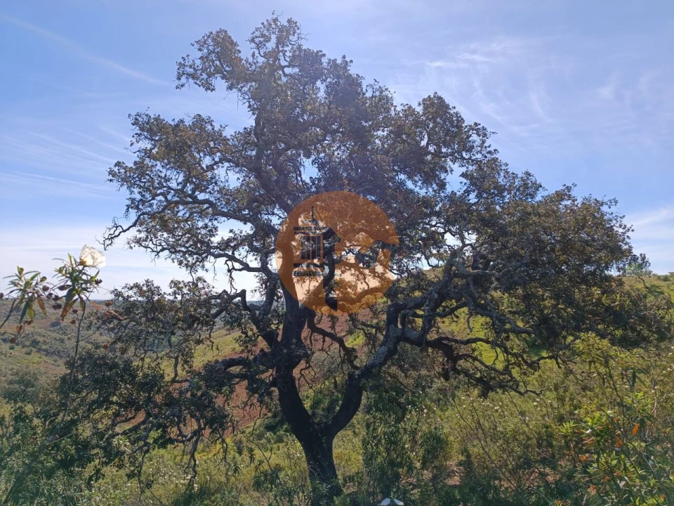 Terreno para Venda em Odeleite Foto 22