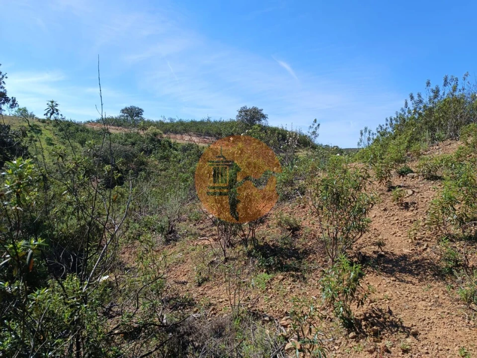 Terreno para Venda em Odeleite Foto 15