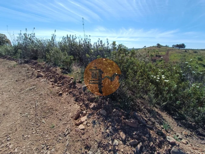 Terreno para Venda em Odeleite Foto 12