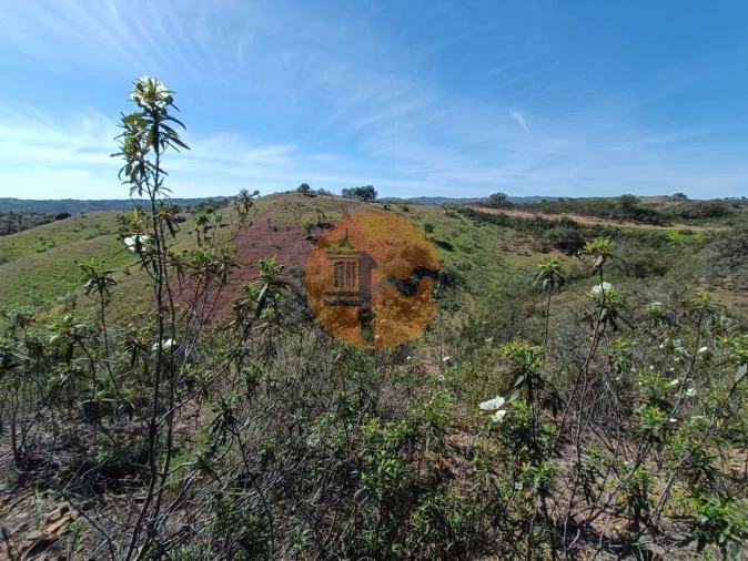 Terreno para Venda em Odeleite Foto 19