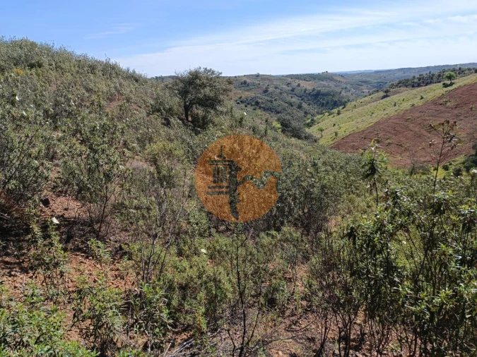 Terreno para Venda em Odeleite Foto 20