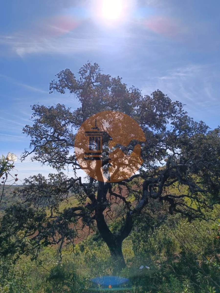 Terreno para Venda em Odeleite Foto 25