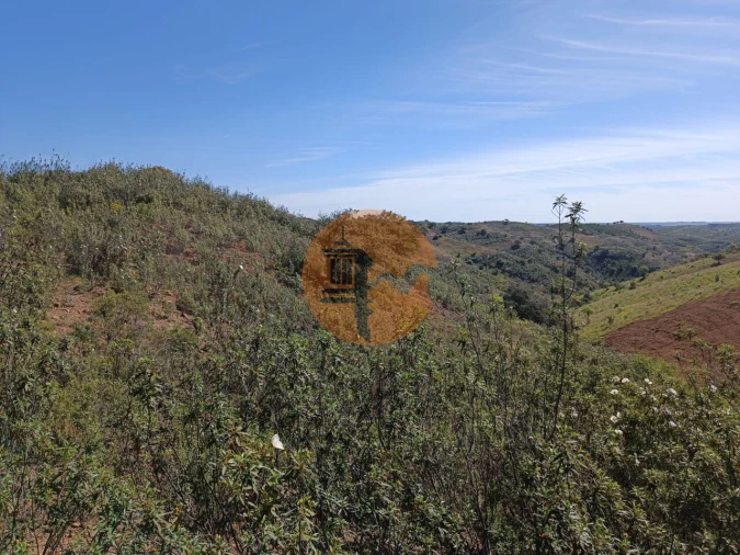 Terreno para Venda em Odeleite Foto 28