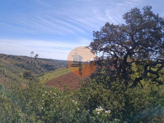 Terreno para Venda em Odeleite Foto 31