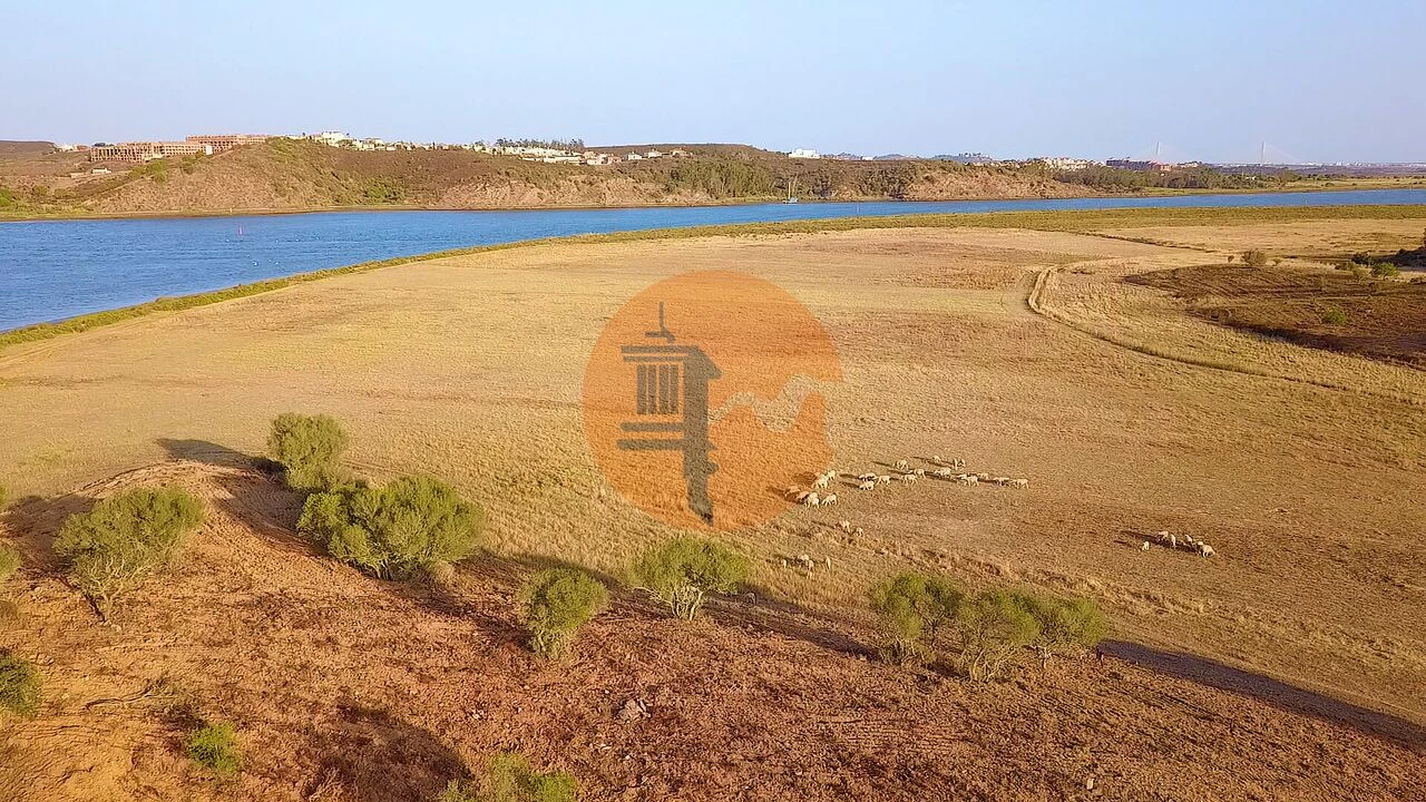 Terreno para Venda em Azinhal Foto 8