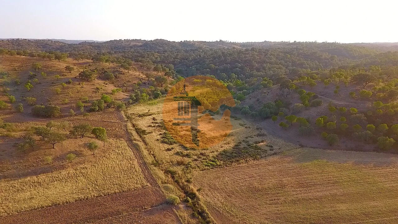 Terreno para Venda em Azinhal Foto 15