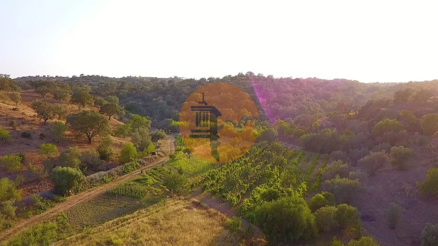 Terreno para Venda em Azinhal Foto 14