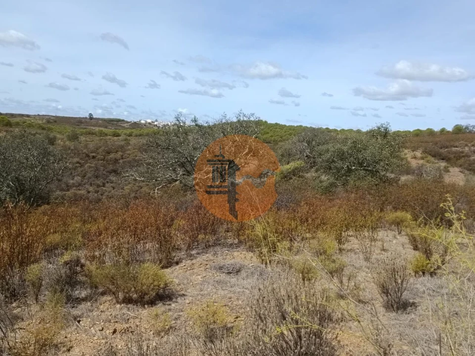Terreno para Venda em Azinhal Foto 1