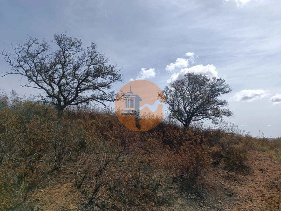 Terreno para Venda em Azinhal Foto 15
