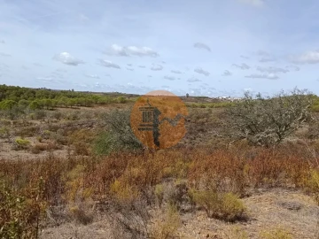 Terreno para Venda em Azinhal