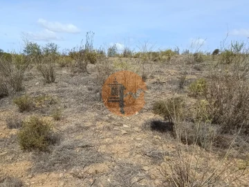 Terreno para Venda em Azinhal