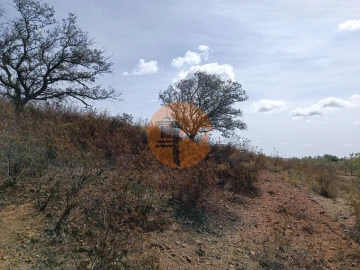 Terreno para Venda em Azinhal