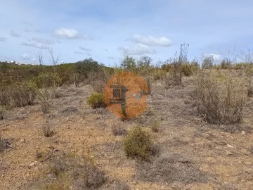 Terreno para Venda em Azinhal