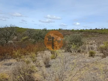 Terreno para Venda em Azinhal