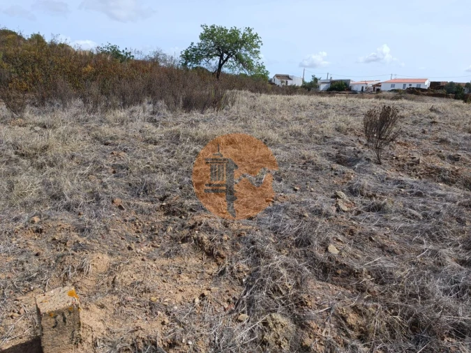 Terreno para Venda em Azinhal Foto 3