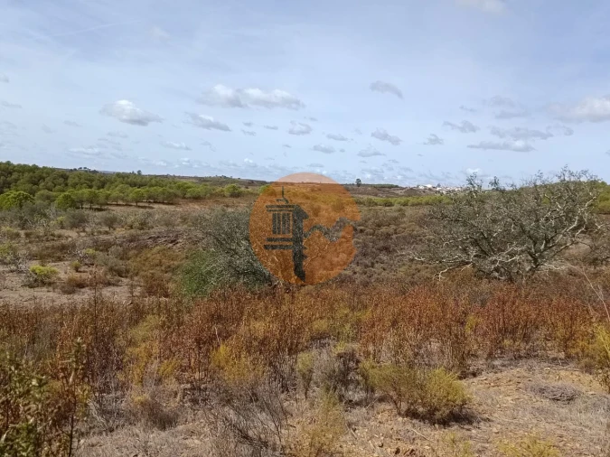 Terreno para Venda em Azinhal Foto 5
