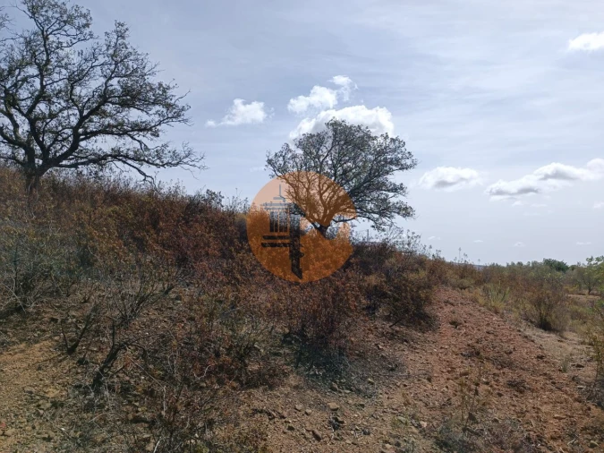 Terreno para Venda em Azinhal Foto 9