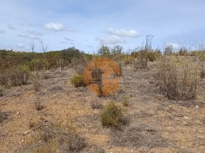 Terreno para Venda em Azinhal Foto 12