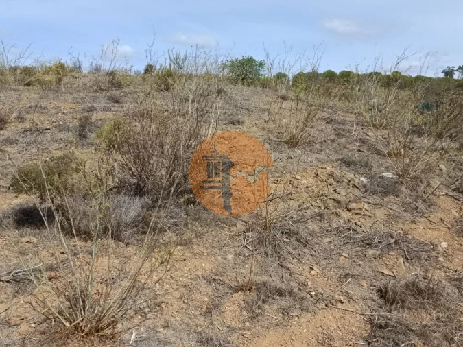 Terreno para Venda em Azinhal Foto 13