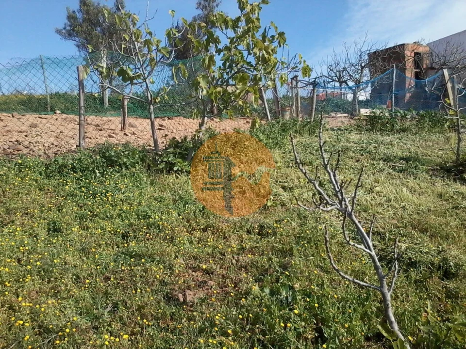 Terreno para Venda em Odeleite Foto 7