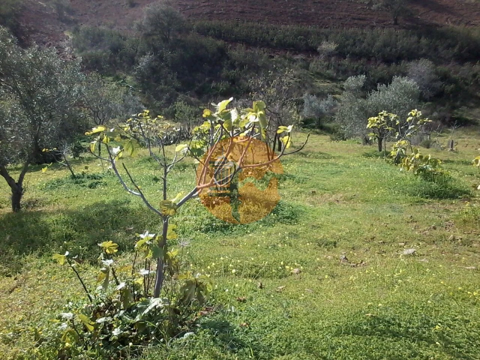 Terreno para Venda em Odeleite Foto 9