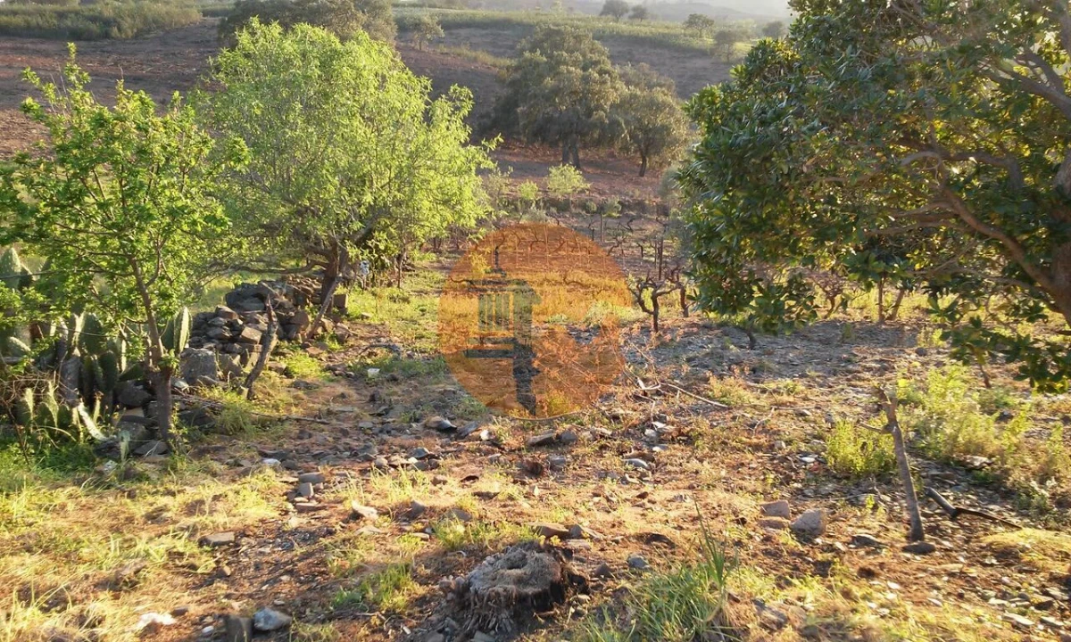 Terreno para Venda em Odeleite Foto 11
