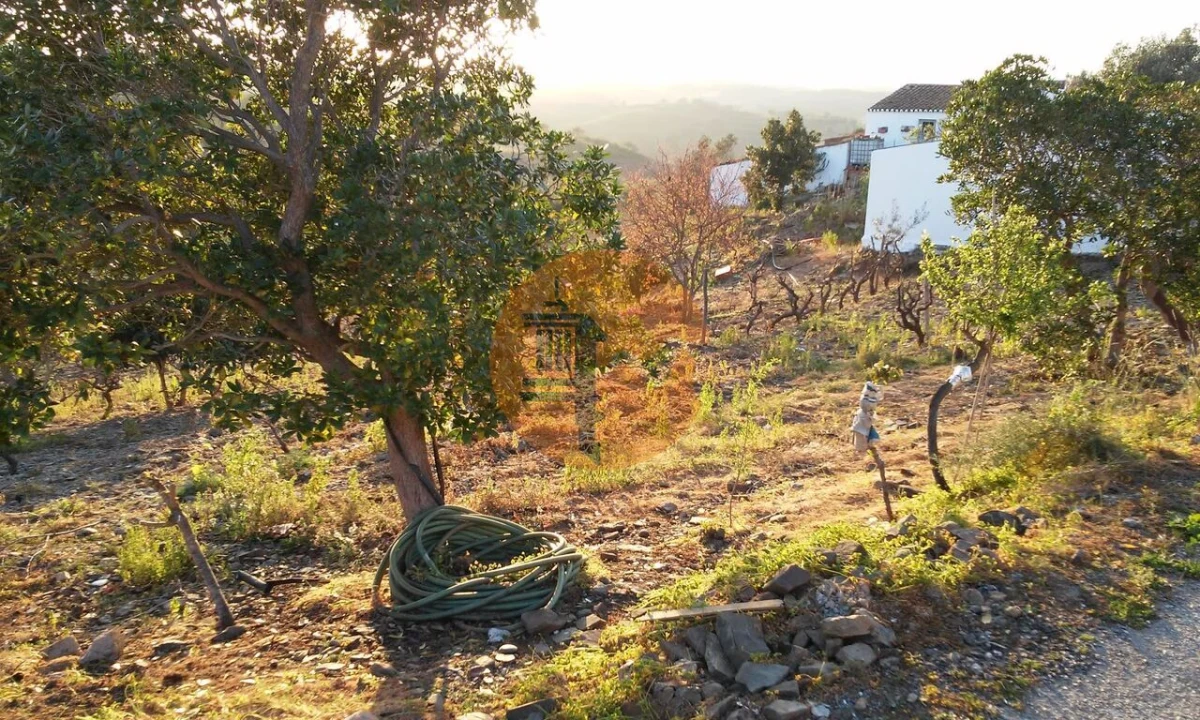 Terreno para Venda em Odeleite Foto 12