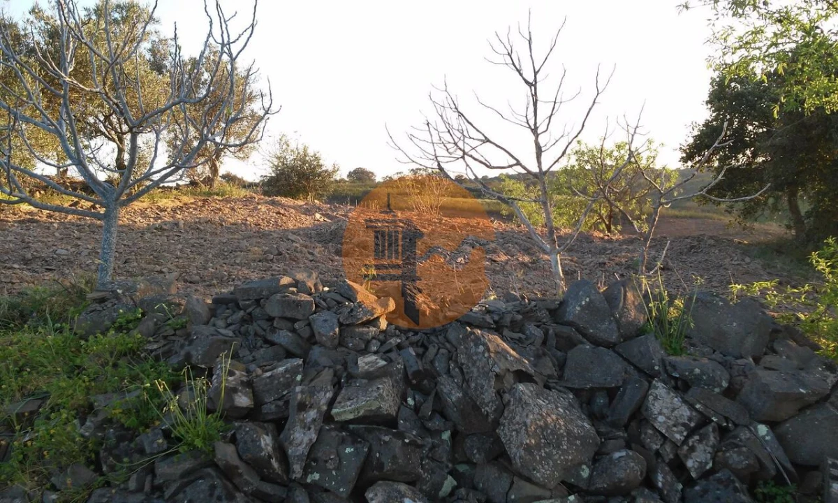 Terreno para Venda em Odeleite Foto 18