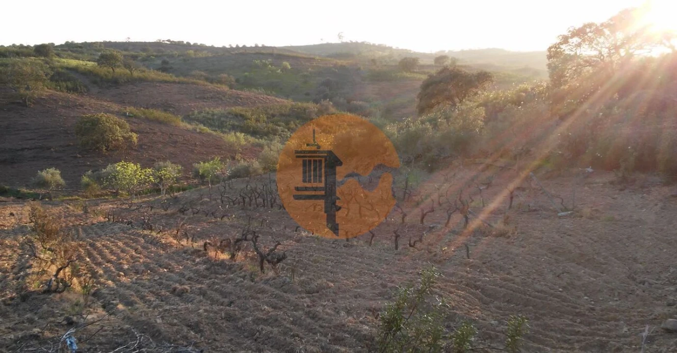 Terreno para Venda em Odeleite Foto 20